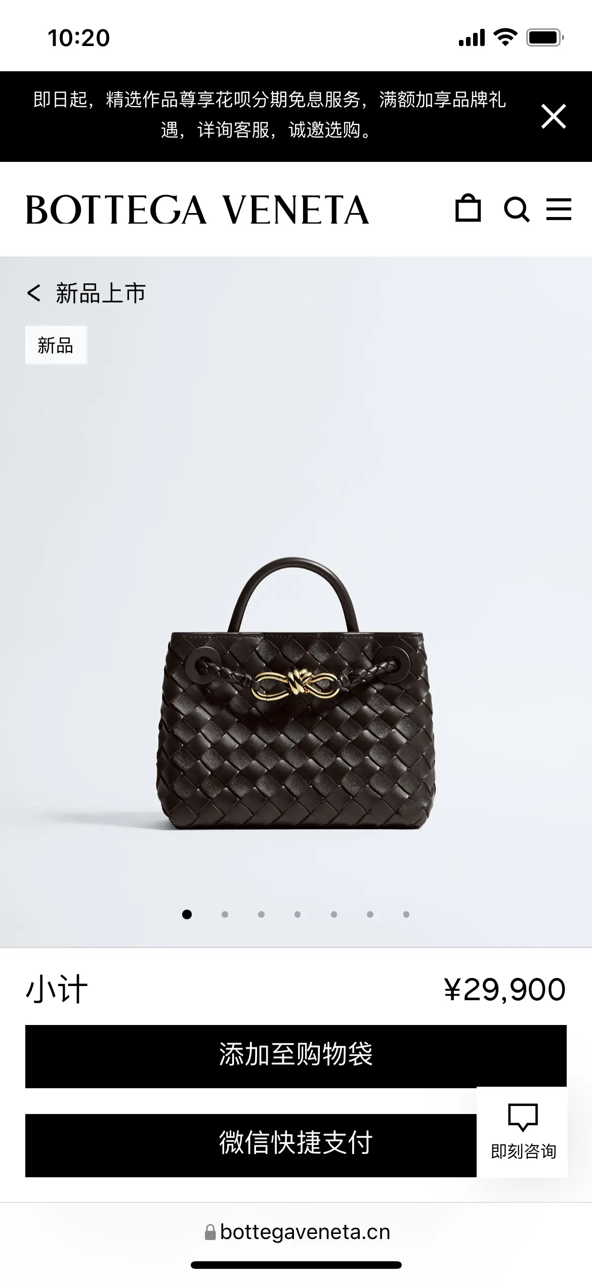 Bottega Veneta Style Bag Lookbook Reference image 1