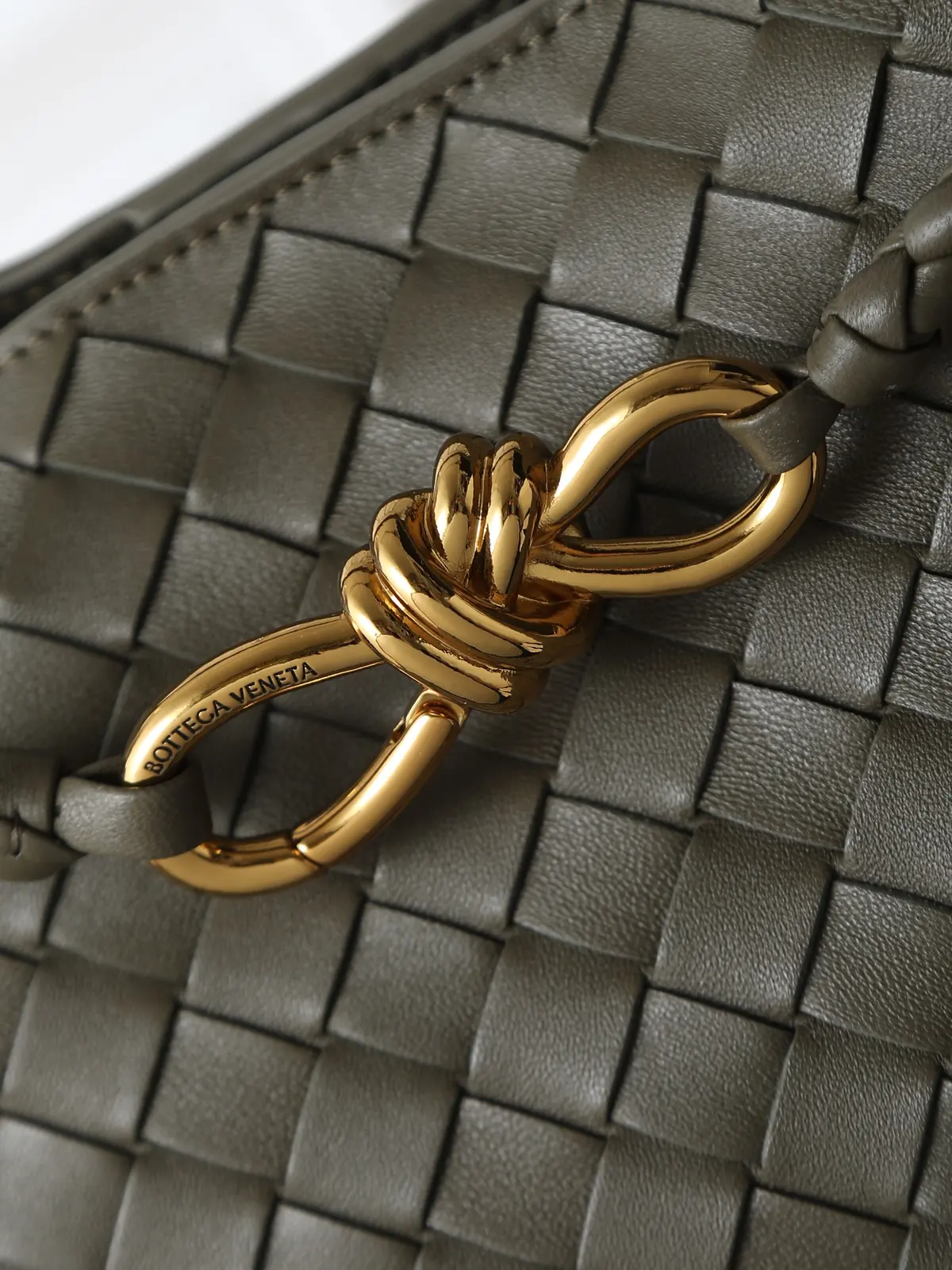 Bottega Veneta Style Beige Leather Bag Lookbook Reference image 2