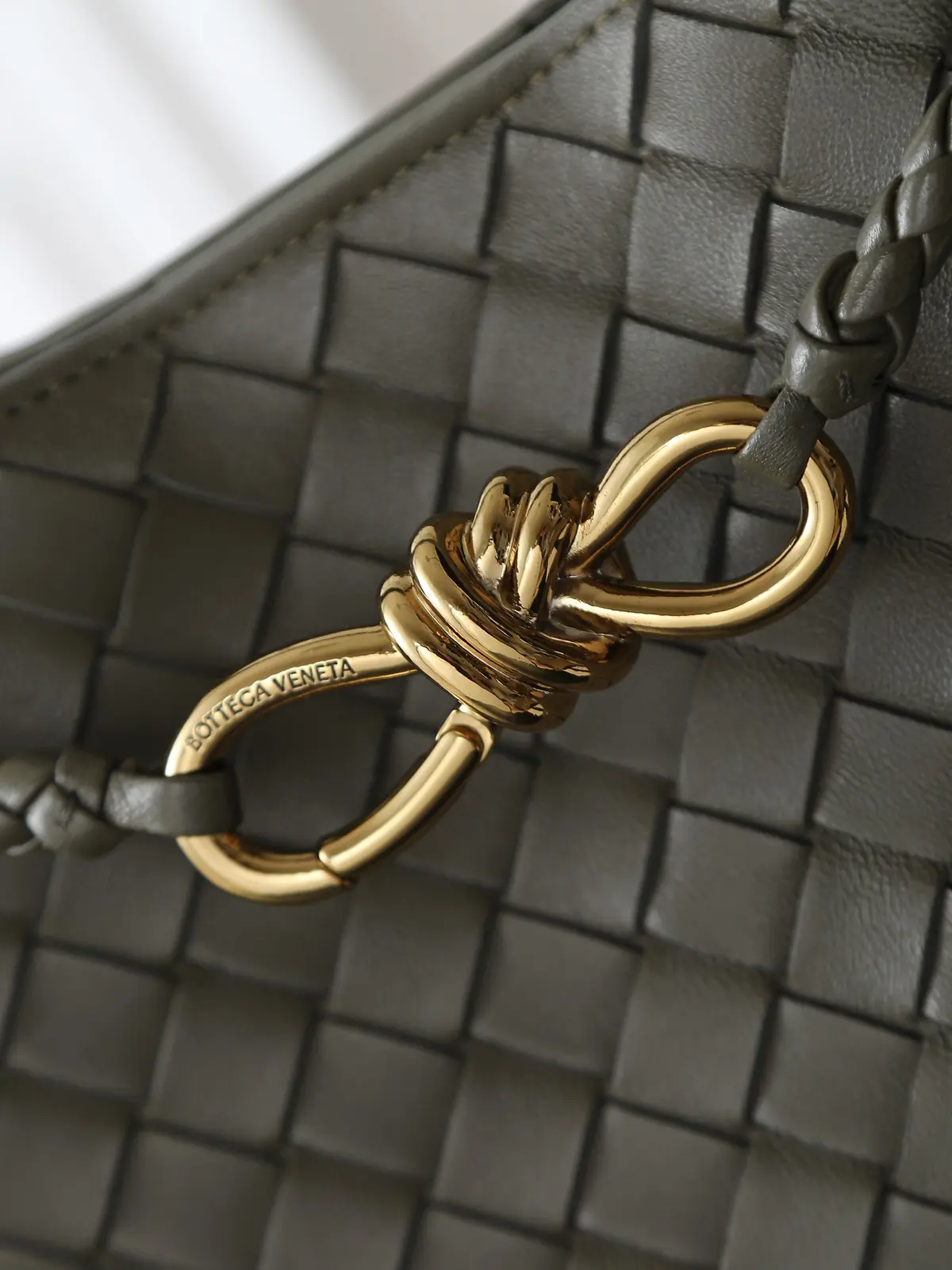 Bottega Veneta Style Beige Leather Bag Lookbook Reference image 6