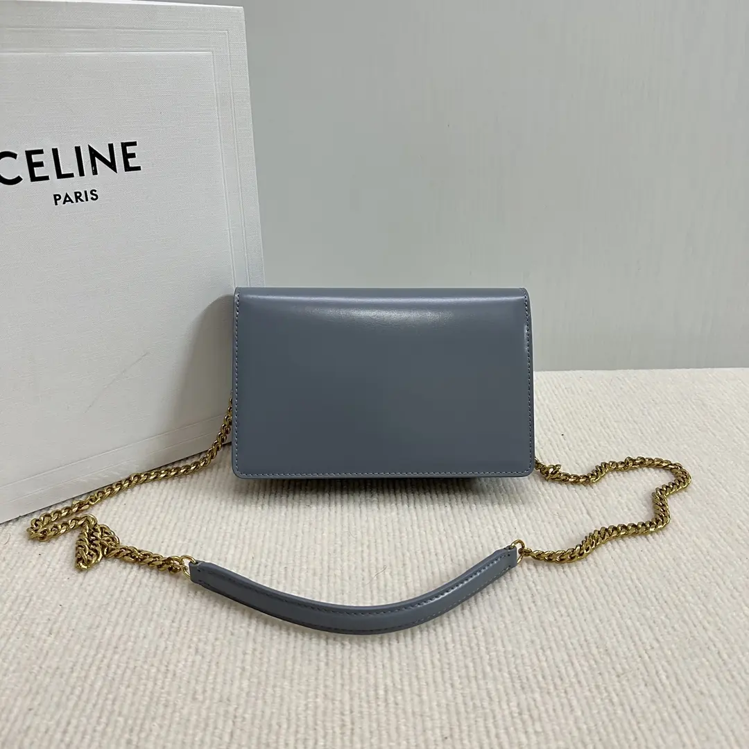 Celine Style Beige Leather Chain Bag Lookbook Reference image 2