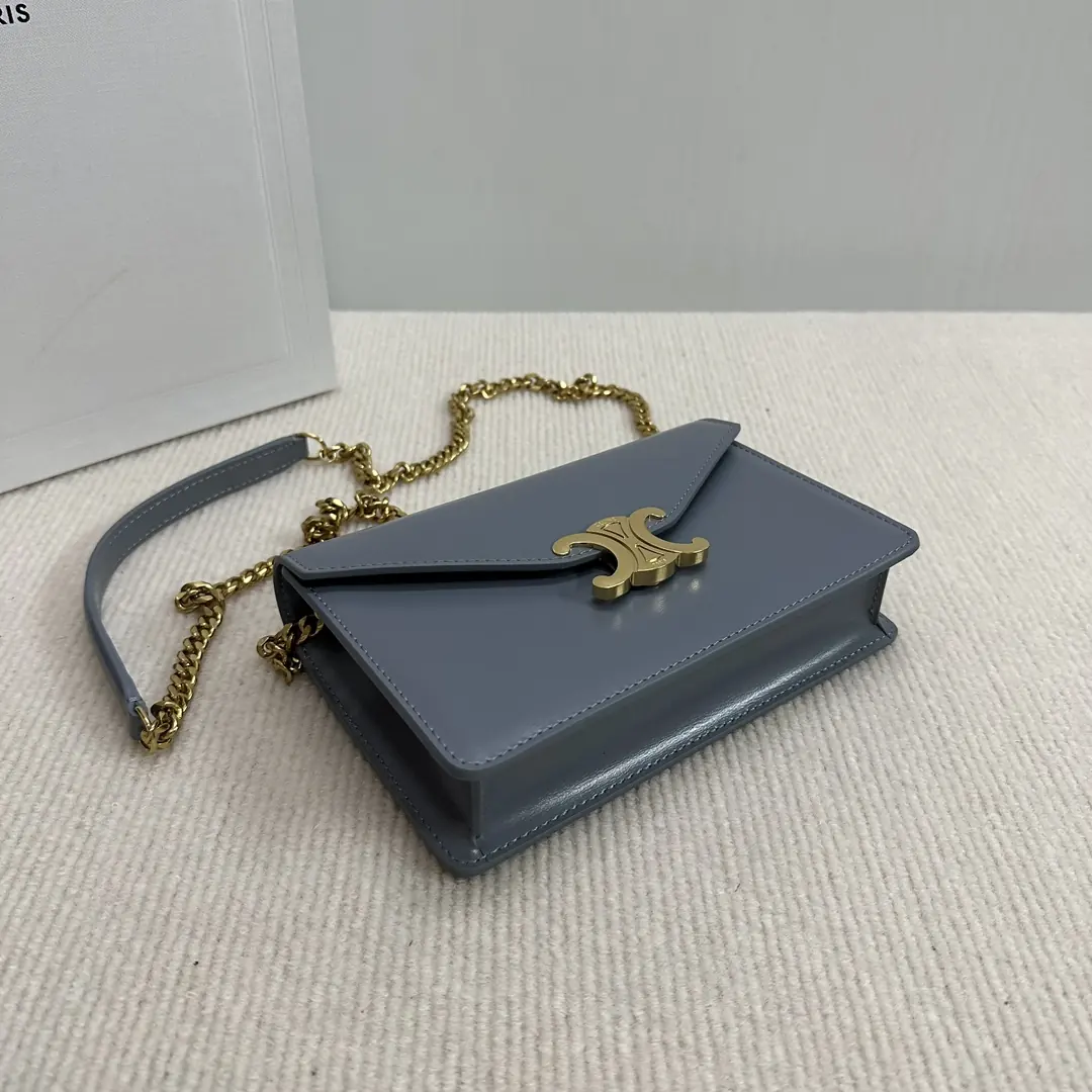 Celine Style Beige Leather Chain Bag Lookbook Reference image 5