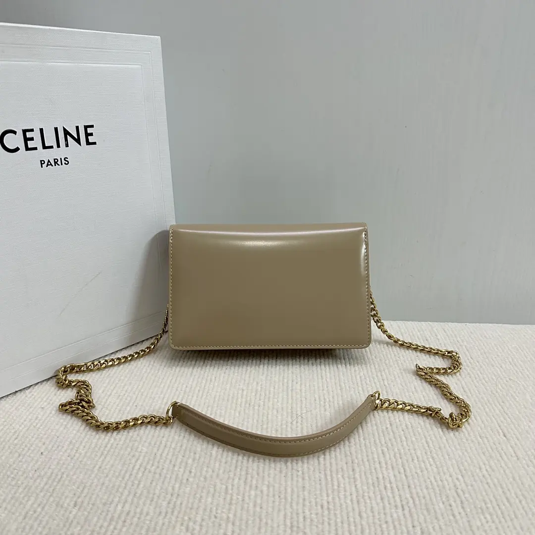 Celine Style Beige Leather Chain Bag Lookbook Reference image 2