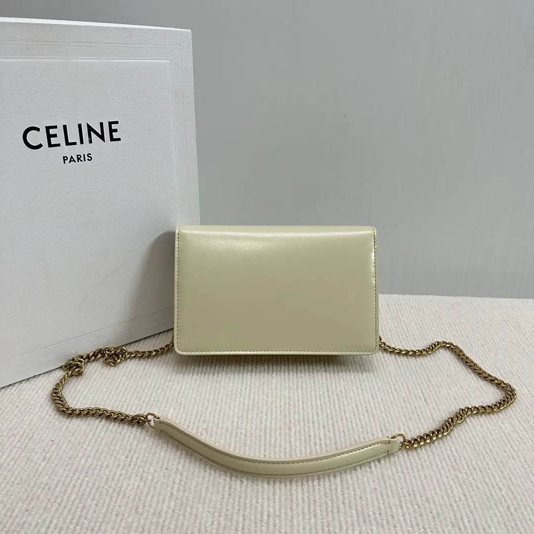 Celine Style Beige Leather Chain Bag Lookbook Reference image 2