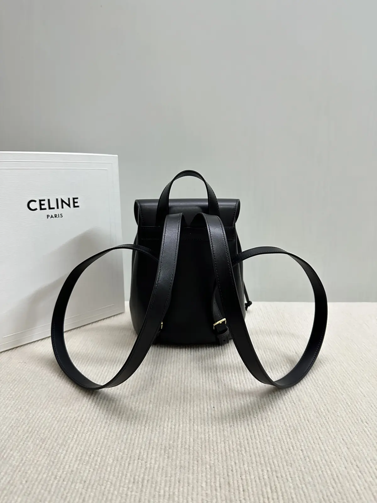 Celine Style Leather Backpack Lookbook Reference image 2