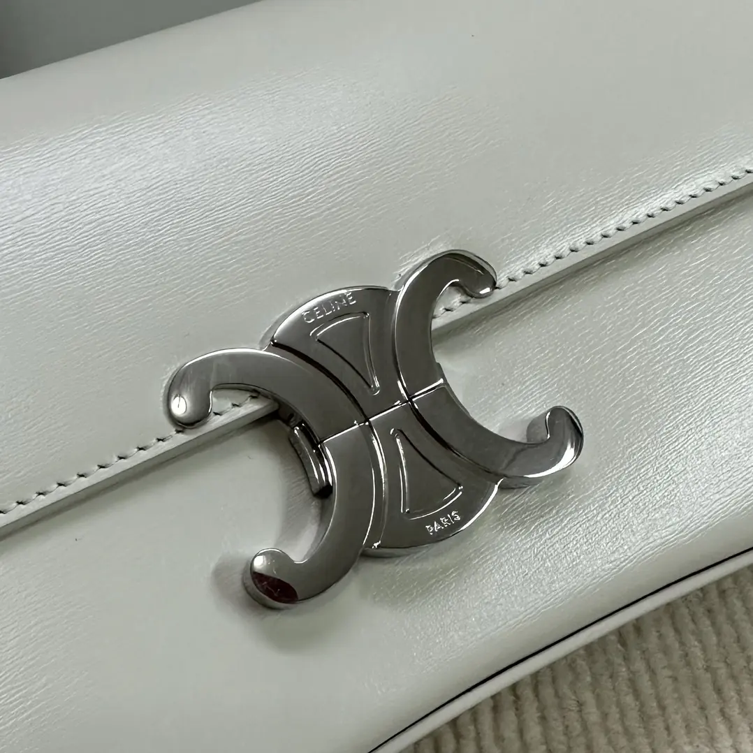 Celine Style Leather Backpack Lookbook Reference image 6