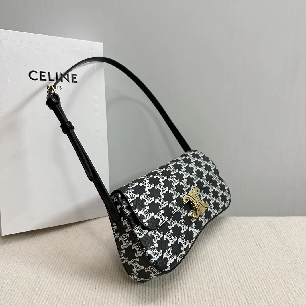 Celine Style Leather Backpack Lookbook Reference image 3