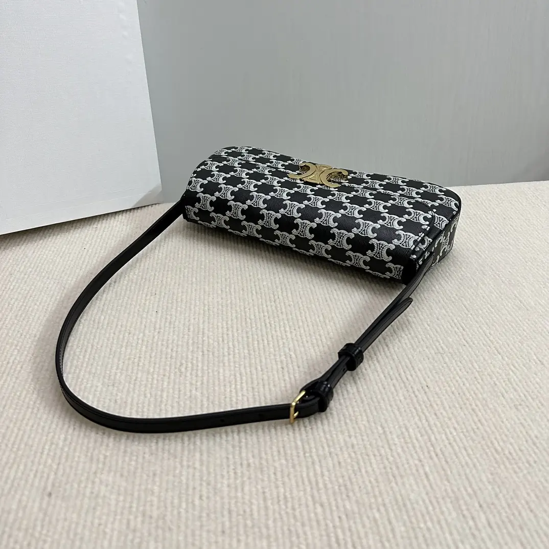 Celine Style Leather Backpack Lookbook Reference image 5