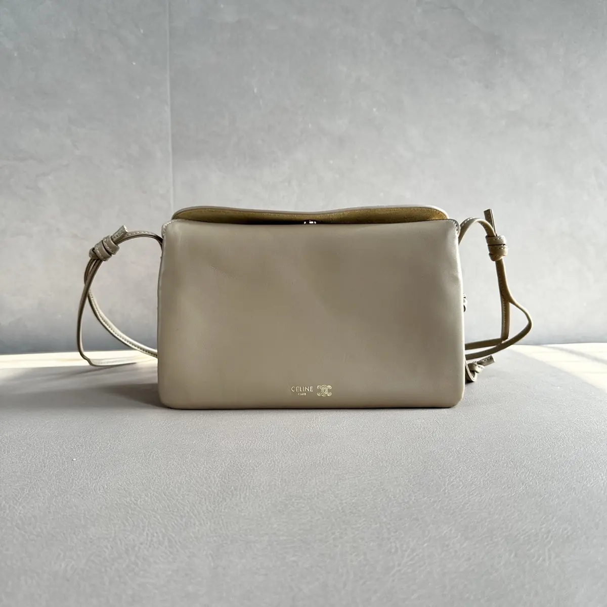 Celine Style Leather Bag Lookbook Reference image 1