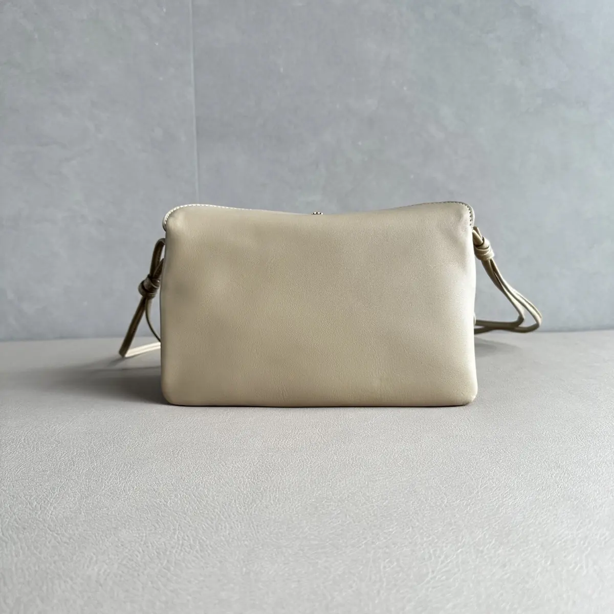 Celine Style Leather Bag Lookbook Reference image 2
