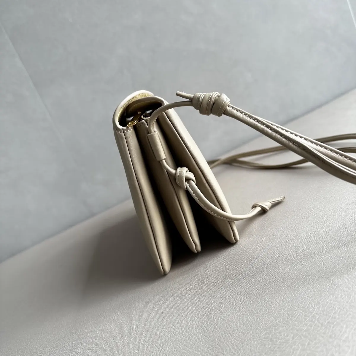 Celine Style Leather Bag Lookbook Reference image 3