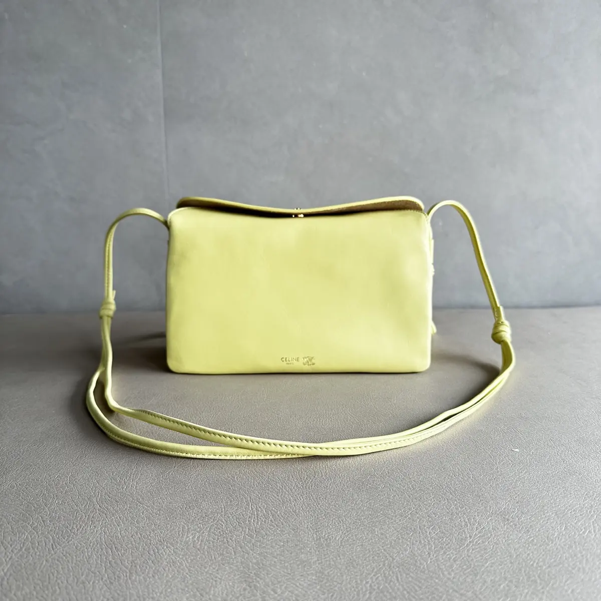 Celine Style Leather Bag Lookbook Reference image 1