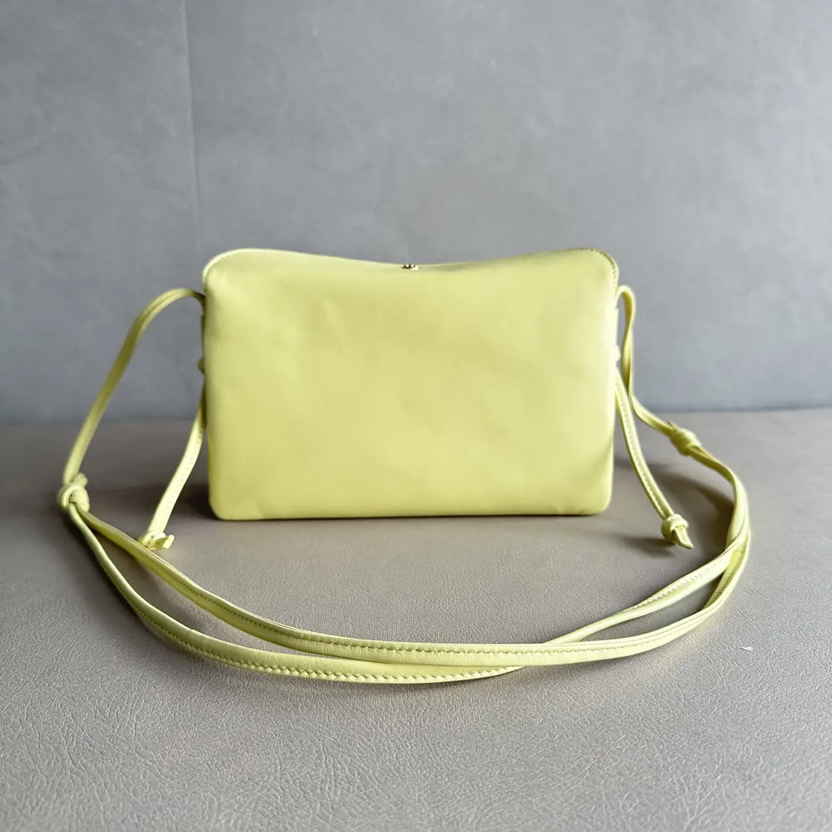 Celine Style Leather Bag Lookbook Reference image 2