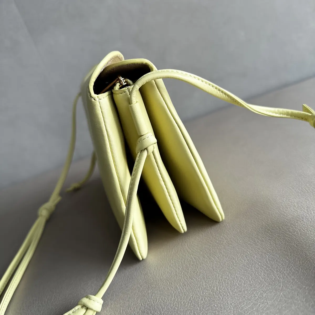 Celine Style Leather Bag Lookbook Reference image 3