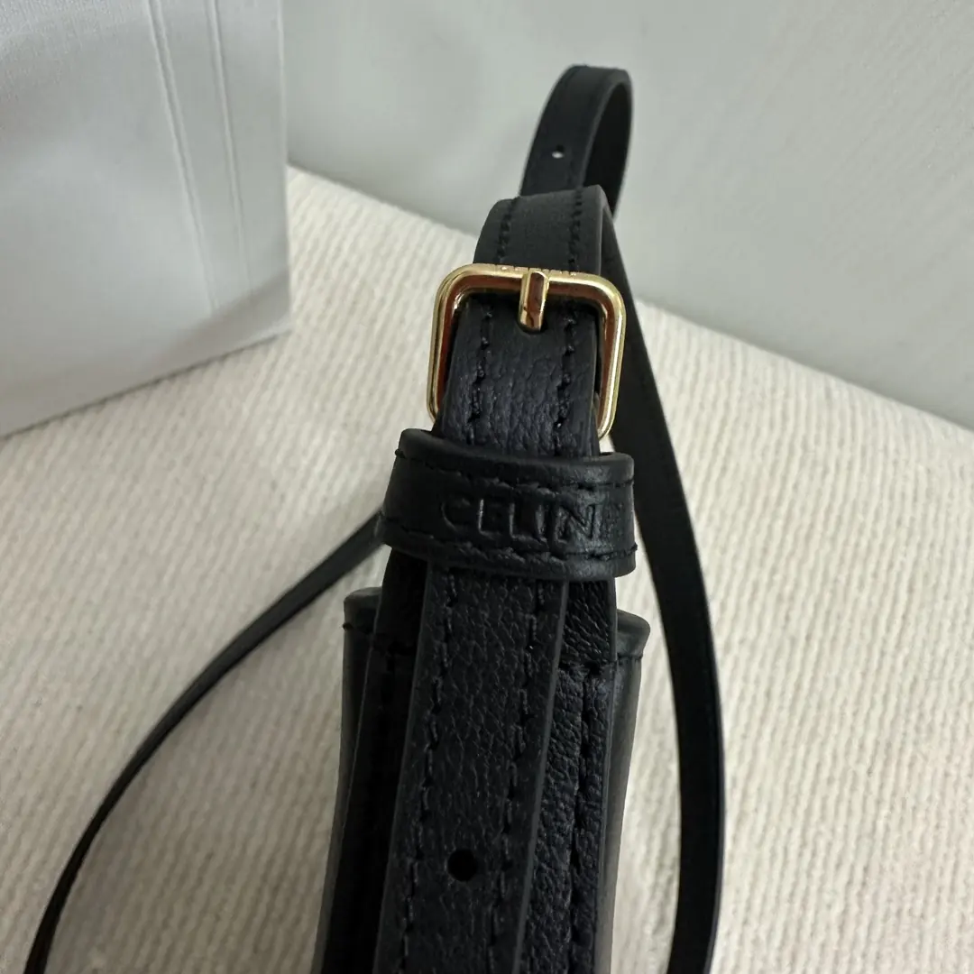 Celine Style Leather Bag Lookbook Reference image 5