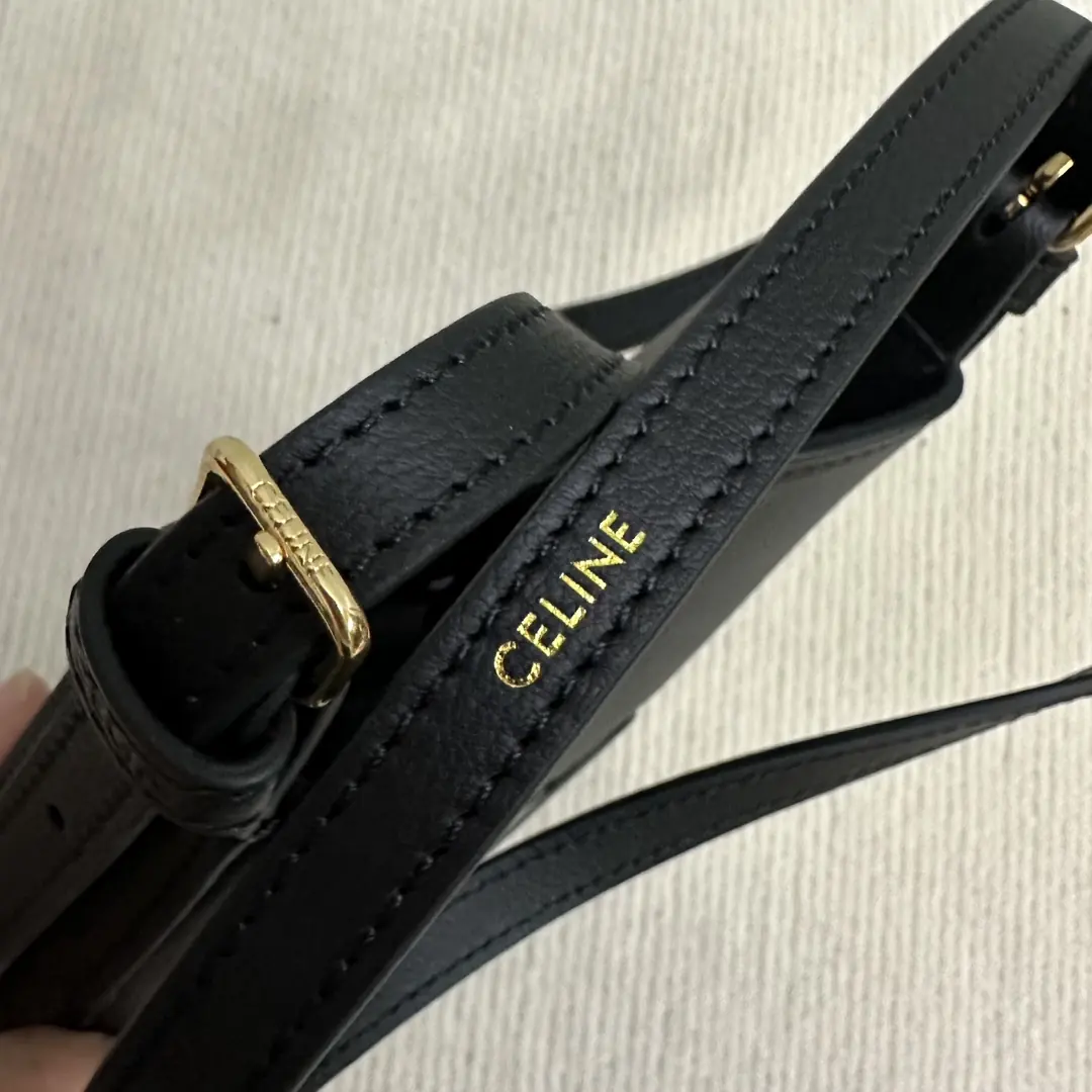 Celine Style Leather Bag Lookbook Reference image 6