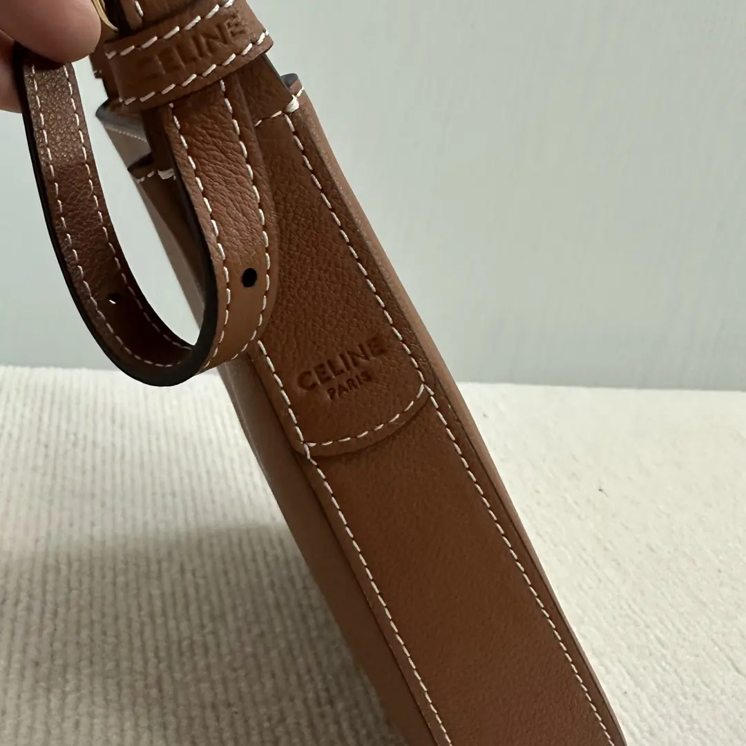 Celine Style Leather Bag Lookbook Reference image 5