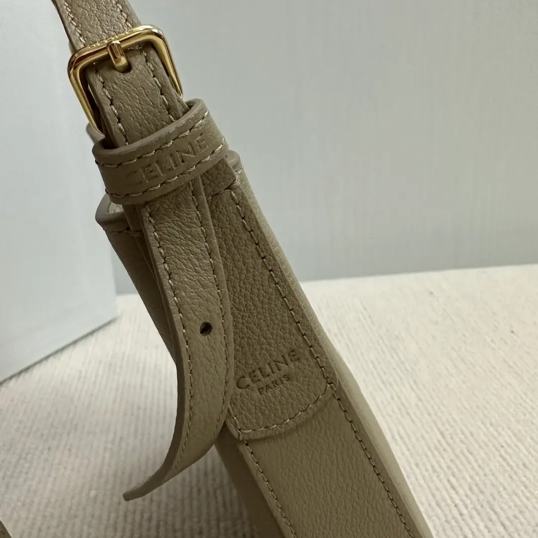 Celine Style Leather Bag Lookbook Reference image 5