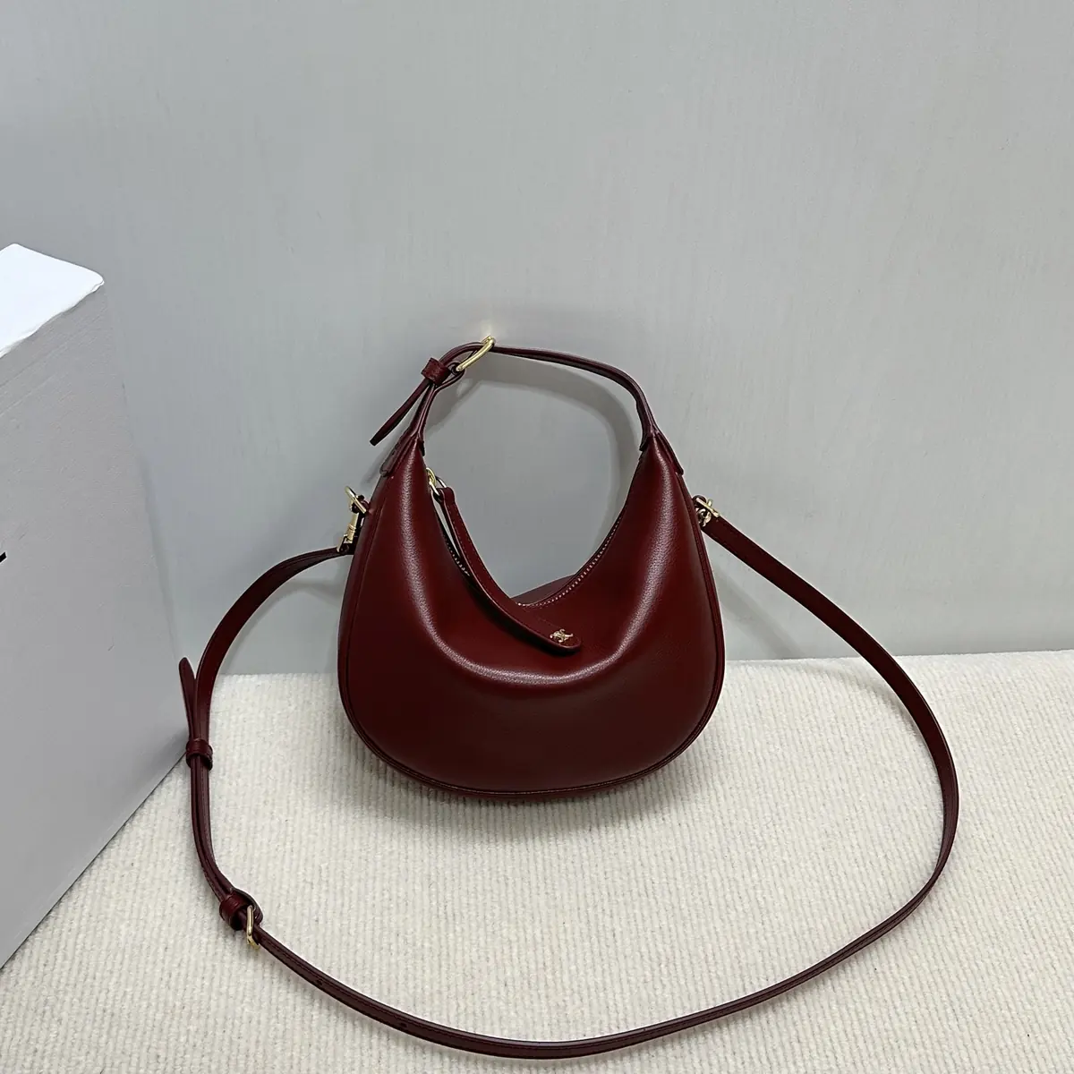 Celine Style Leather Hobo Bag Lookbook Reference image 1
