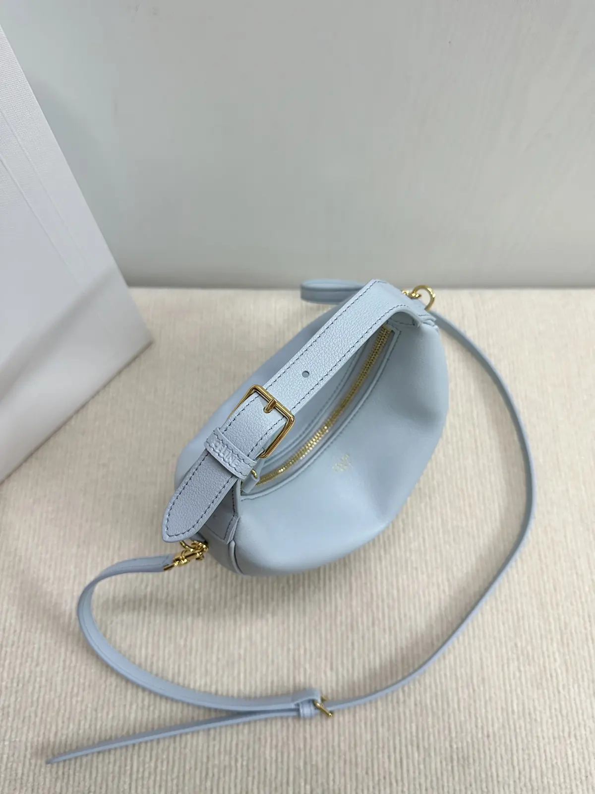 Celine Style Leather Hobo Bag Lookbook Reference image 4