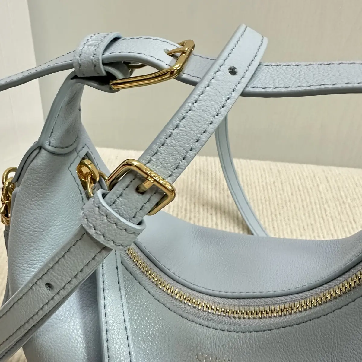 Celine Style Leather Hobo Bag Lookbook Reference image 6