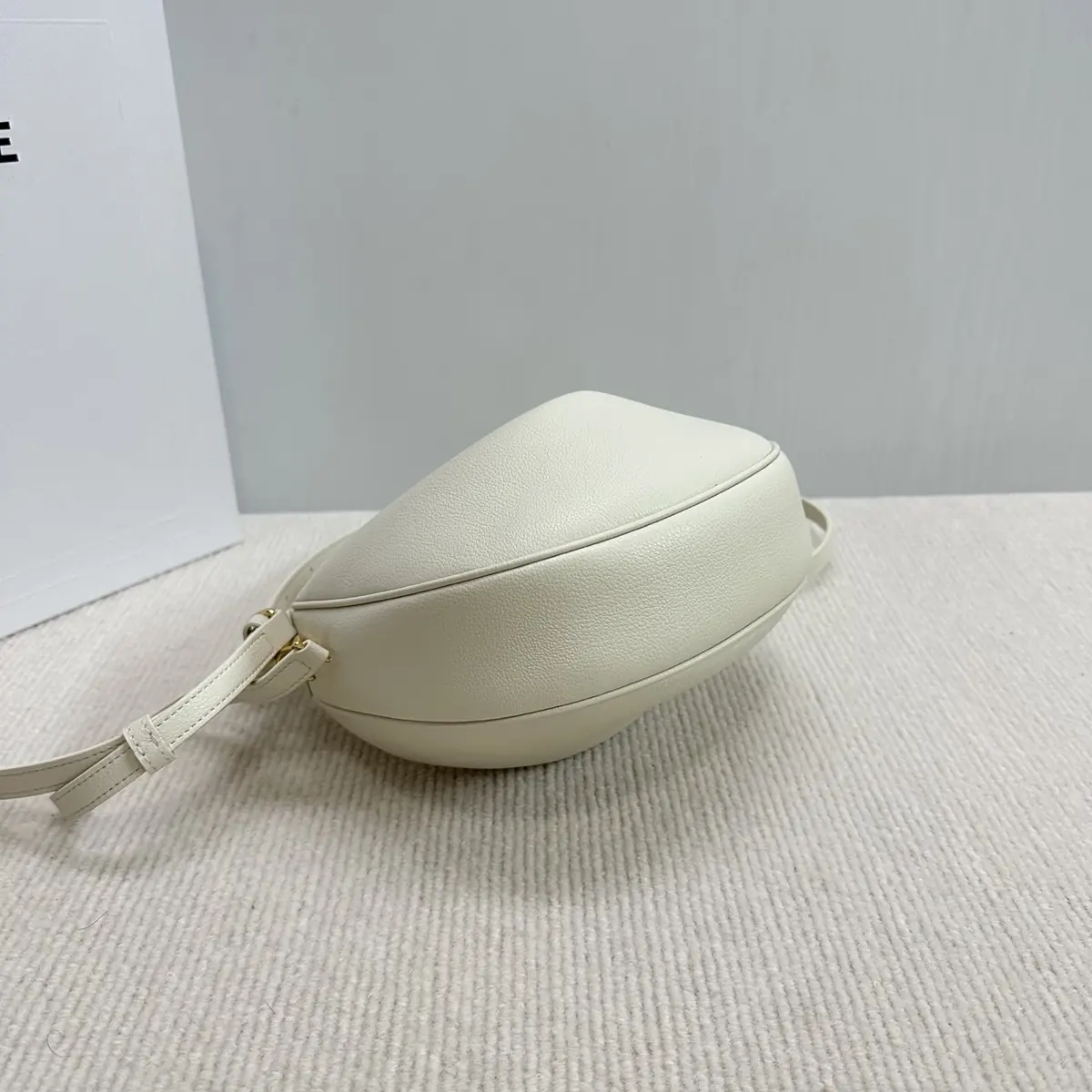 Celine Style Leather Hobo Bag Lookbook Reference image 4