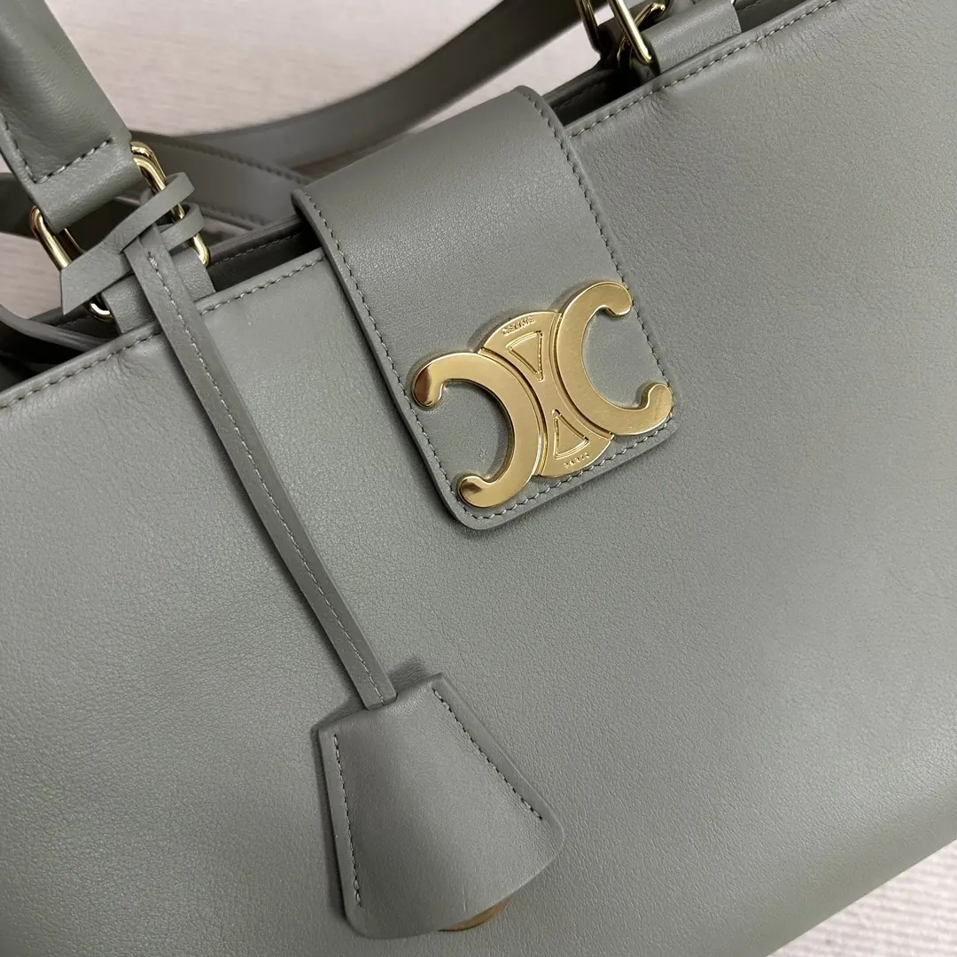 Celine Style Leather Shoulder Bag Lookbook Reference image 5