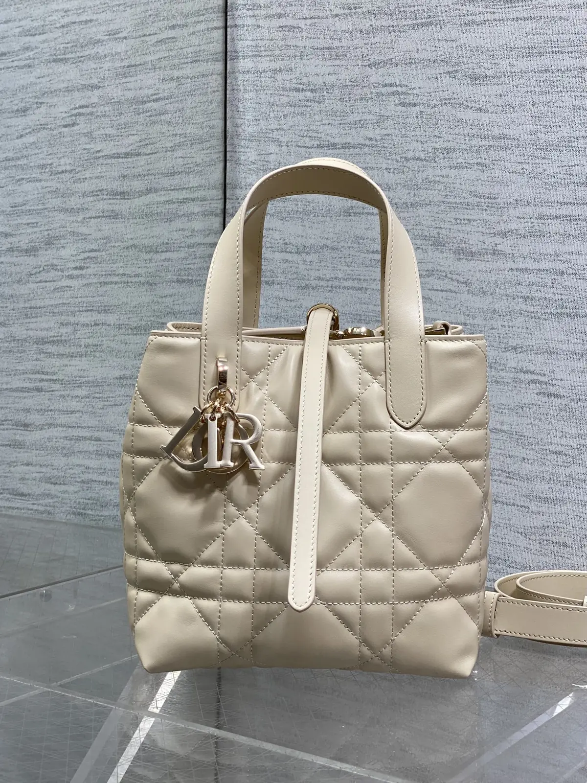 Dior Style Beige Bag Lookbook Reference image 2