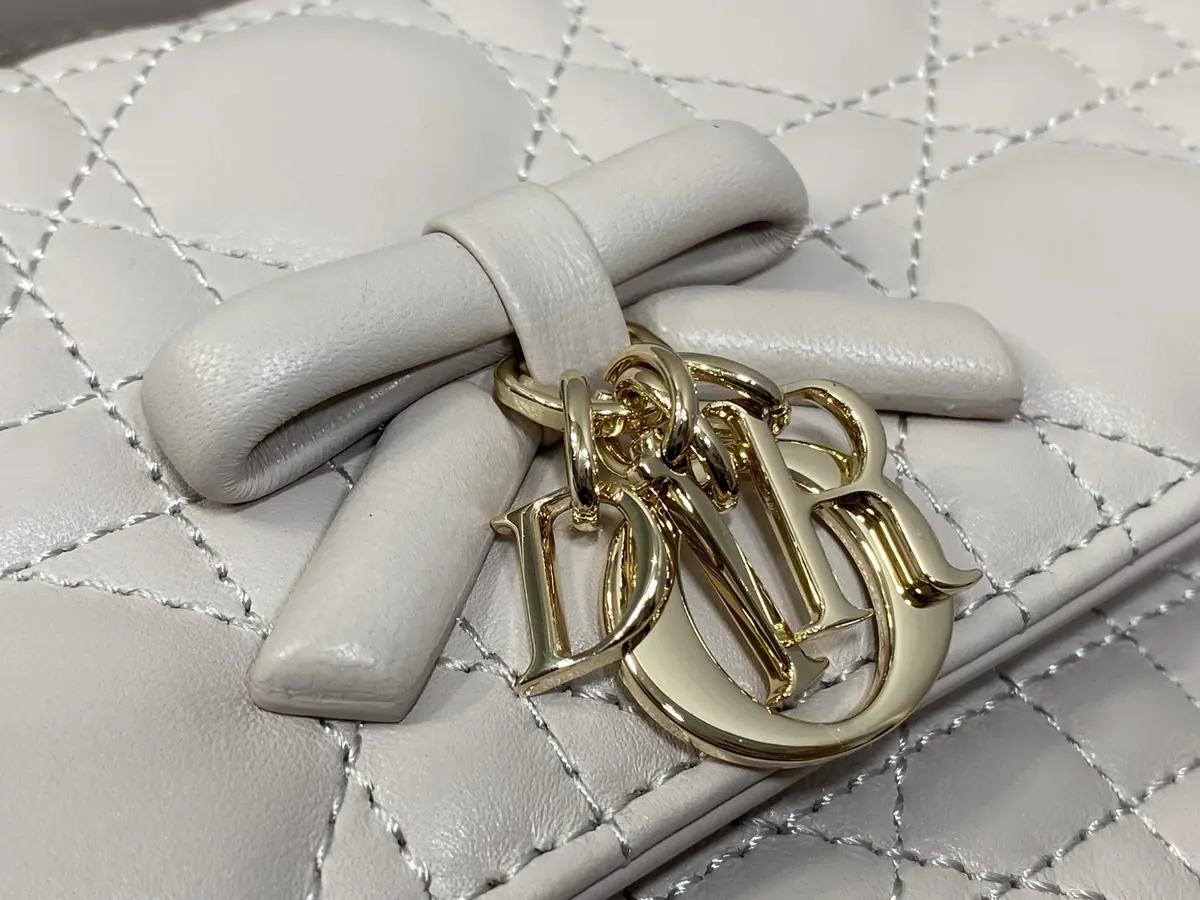 Dior Style Beige Leather Chain Bag Lookbook Reference image 3