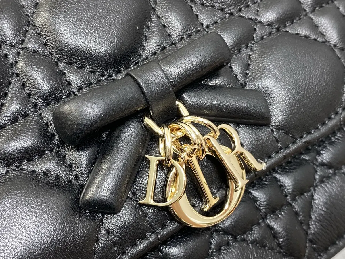 Dior Style Black Leather Chain Bag Lookbook Reference image 3
