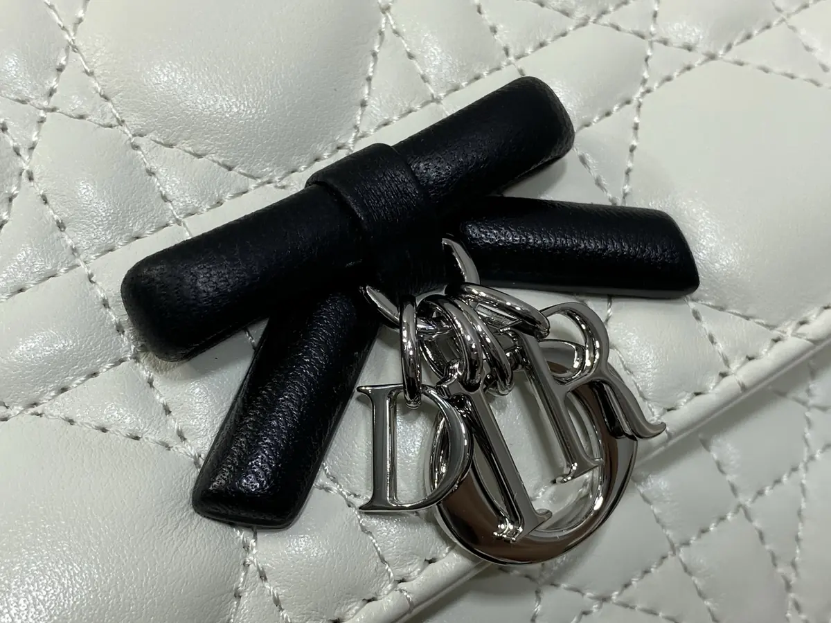 Dior Style Black Leather Chain Bag Lookbook Reference image 3
