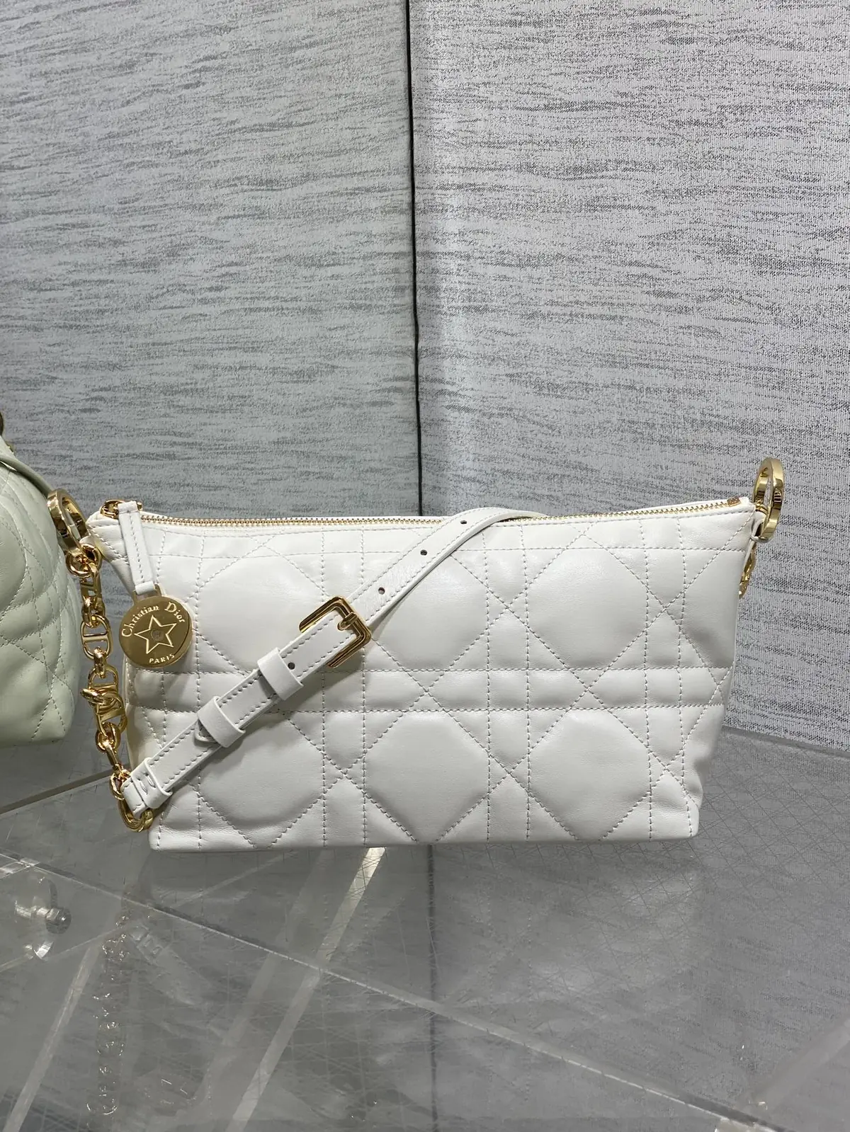 Dior Style Hobo Bag Bags Hobo Bag detail image 1 from source 741853