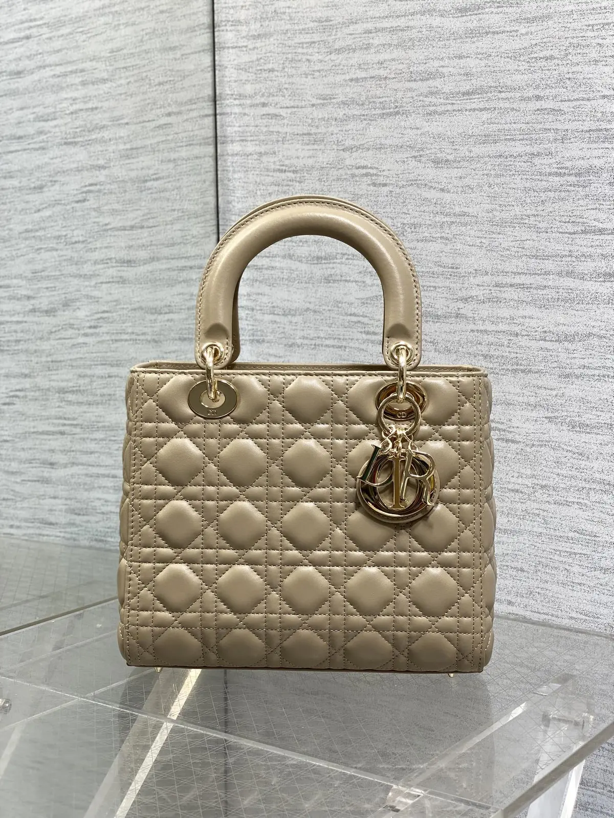 Dior Style Leather Bag Bags Bag detail image 2 from source 741855