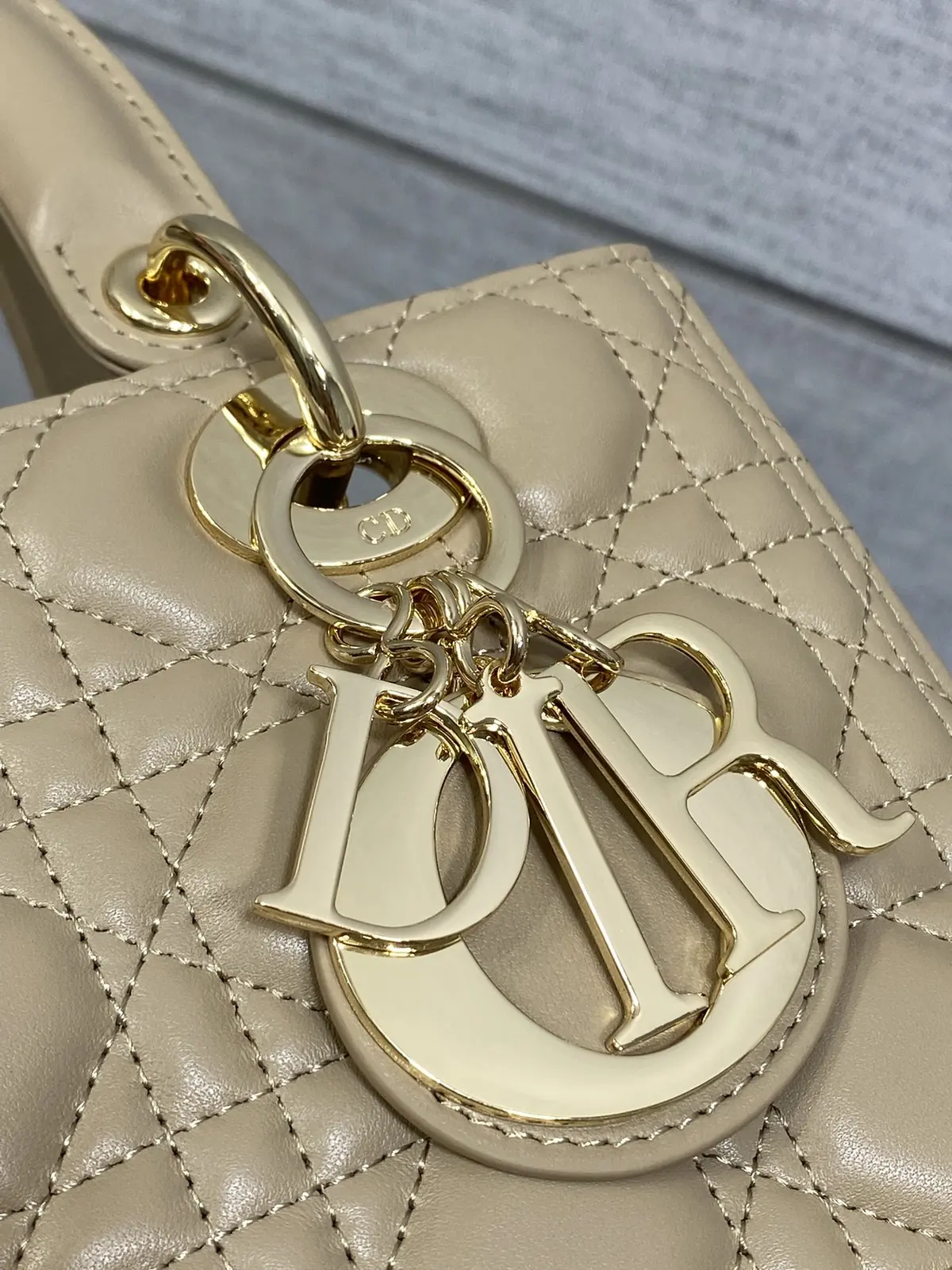 Dior Style Leather Bag Bags Bag detail image 3 from source 741855