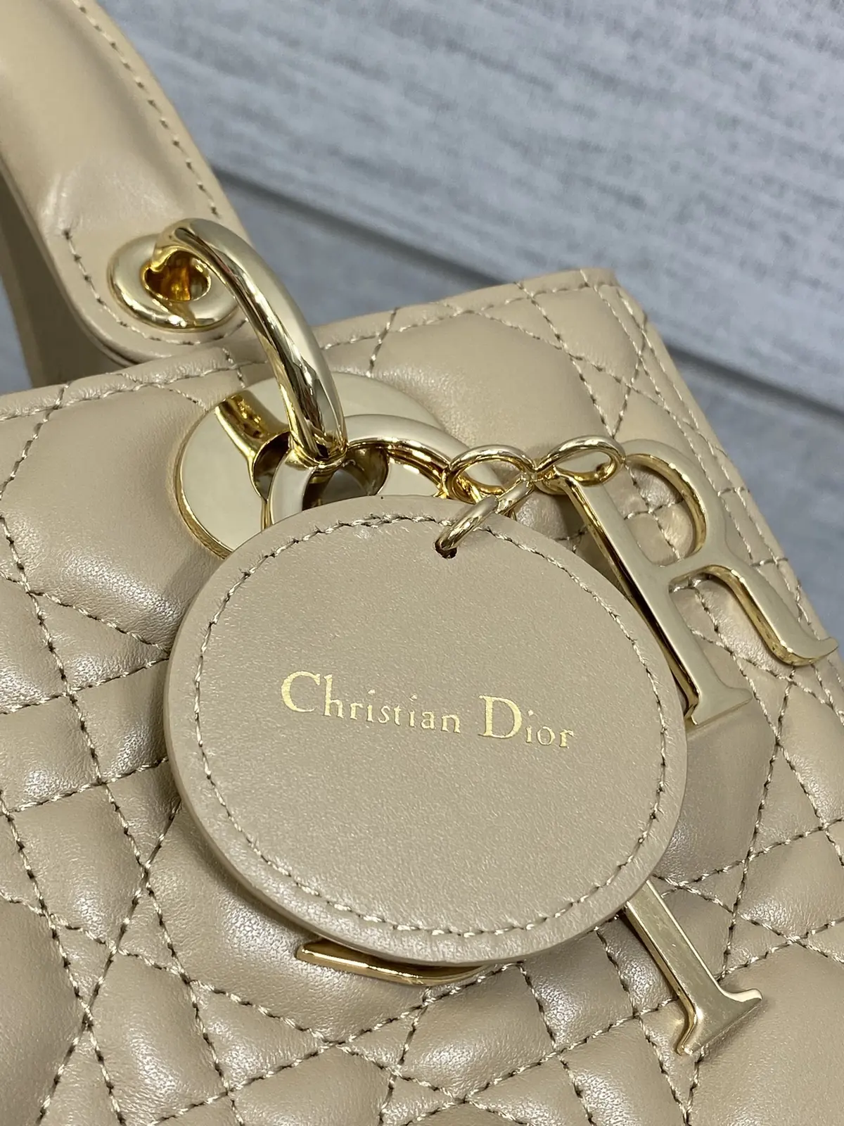 Dior Style Leather Bag Bags Bag detail image 4 from source 741855