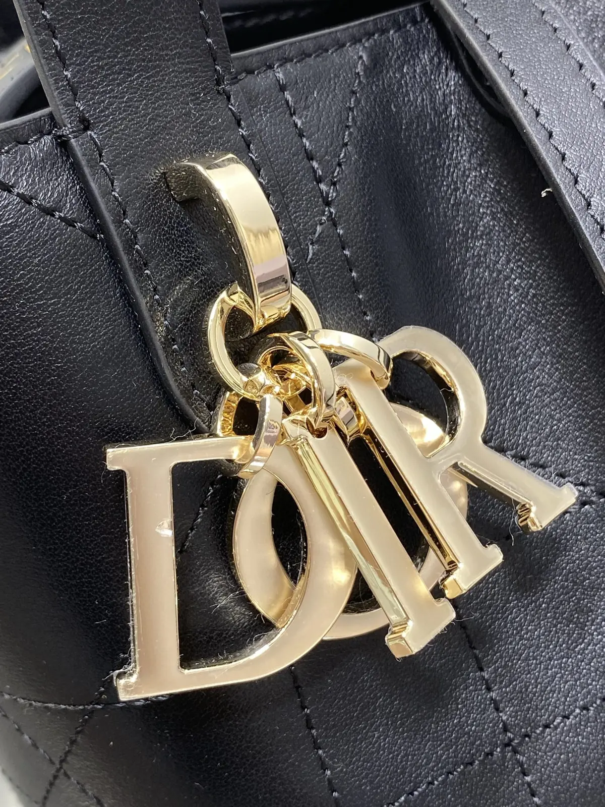 Dior Style Leather Bag Lookbook Reference image 3