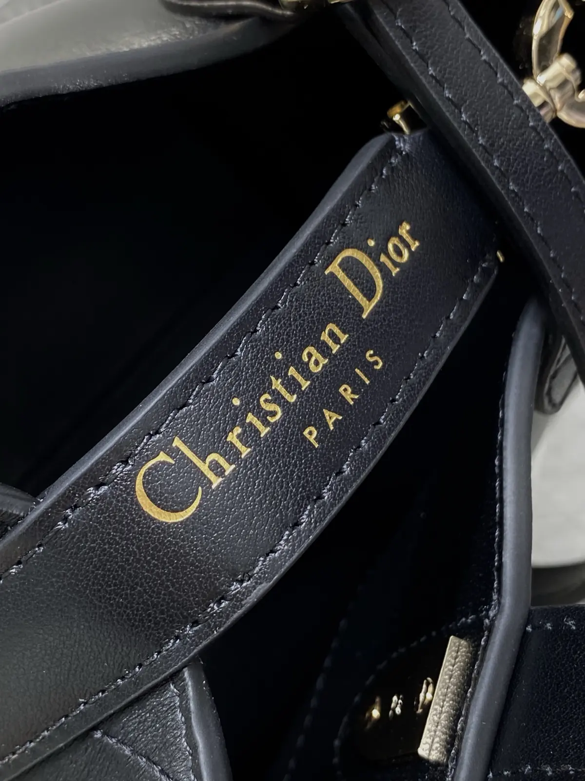Dior Style Leather Bag Lookbook Reference image 5
