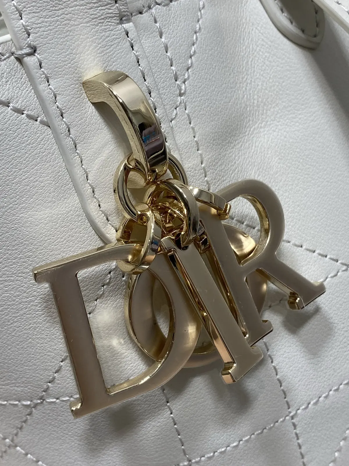 Dior Style Leather Bag Lookbook Reference image 3