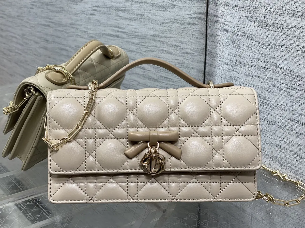 Dior Style Leather Chain Bag Lookbook Reference image 1