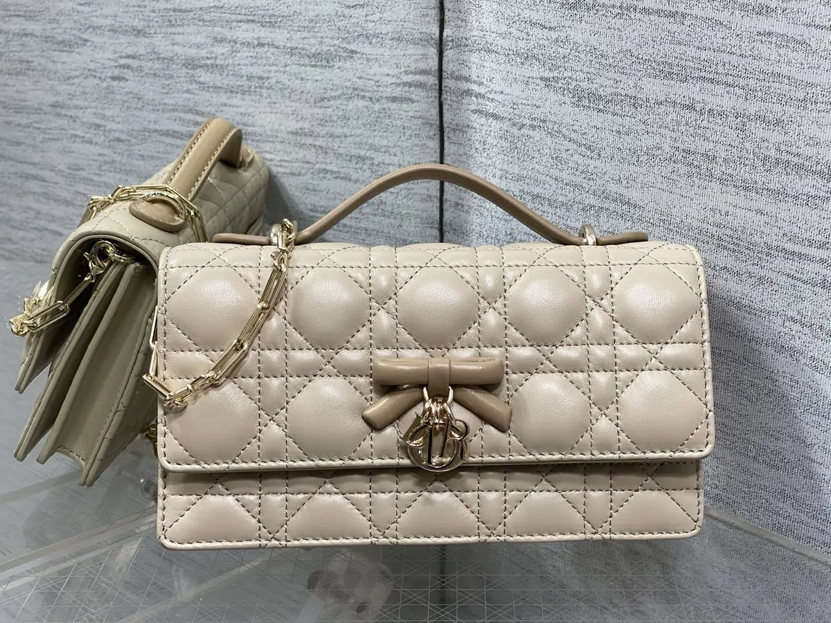 Dior Style Leather Chain Bag Lookbook Reference image 2