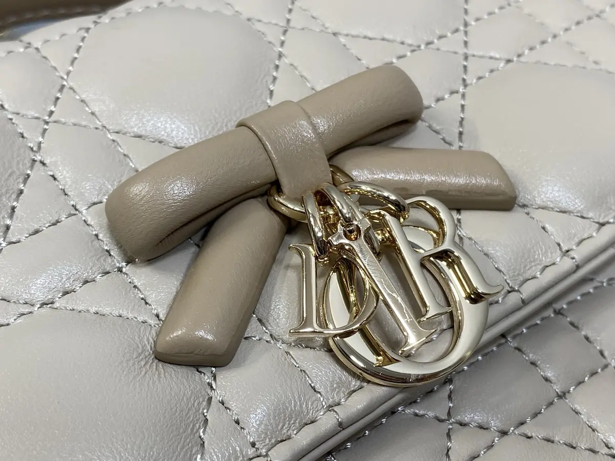 Dior Style Leather Chain Bag Lookbook Reference image 3