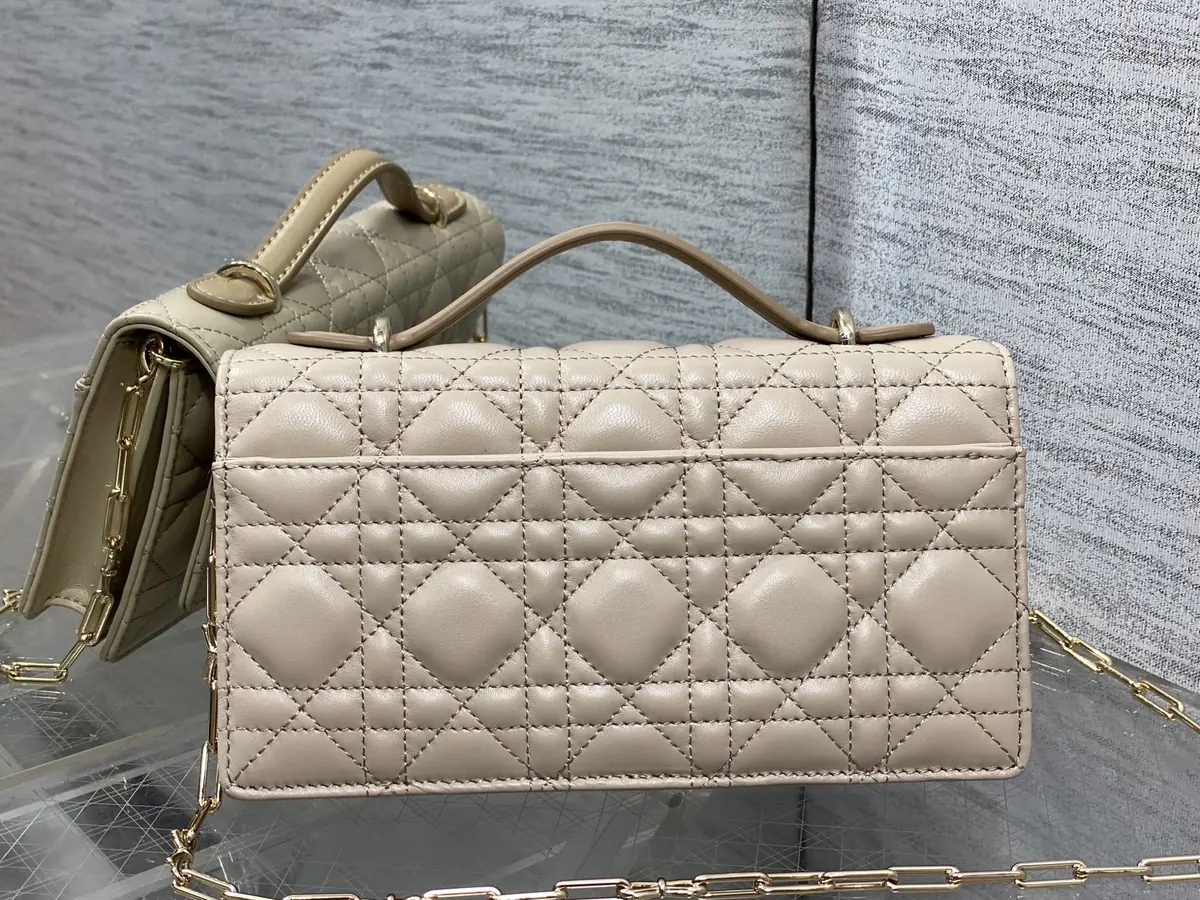 Dior Style Leather Chain Bag Lookbook Reference image 4