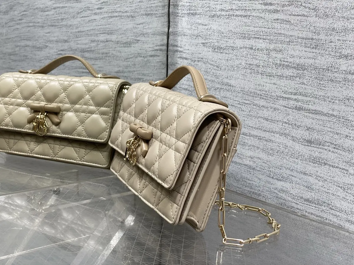 Dior Style Leather Chain Bag Lookbook Reference image 6