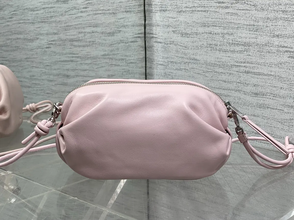 Dior Style Leather Clutch Lookbook Reference image 2