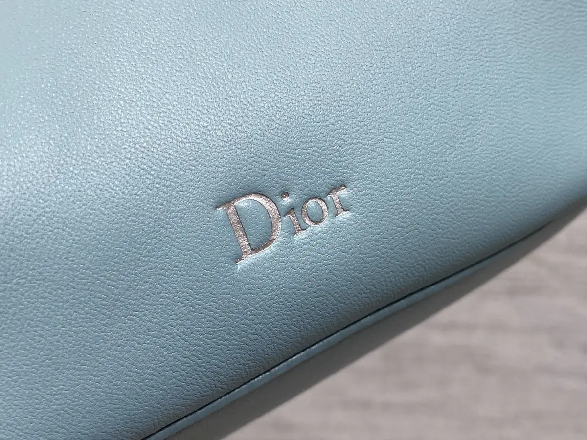 Dior Style Leather Clutch Lookbook Reference image 4