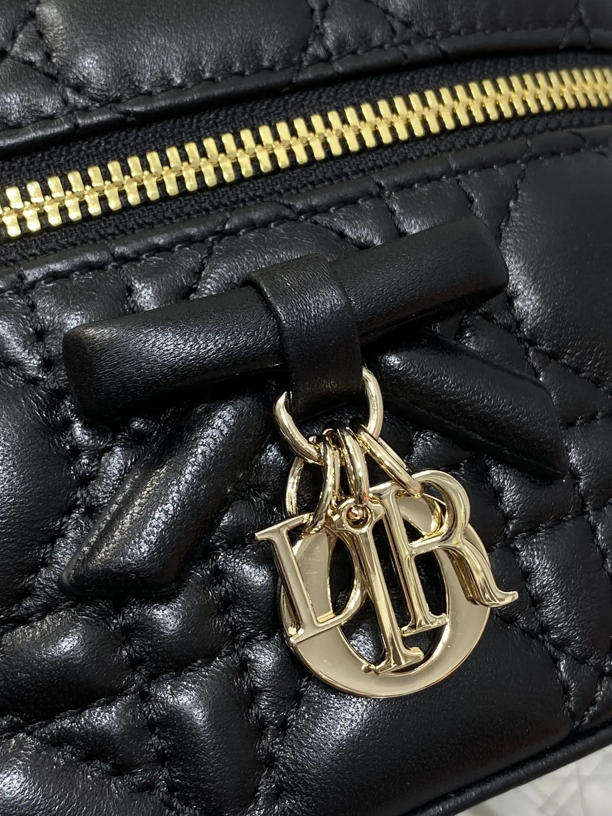 Dior Style Leather Crossbody Bag Lookbook Reference image 3