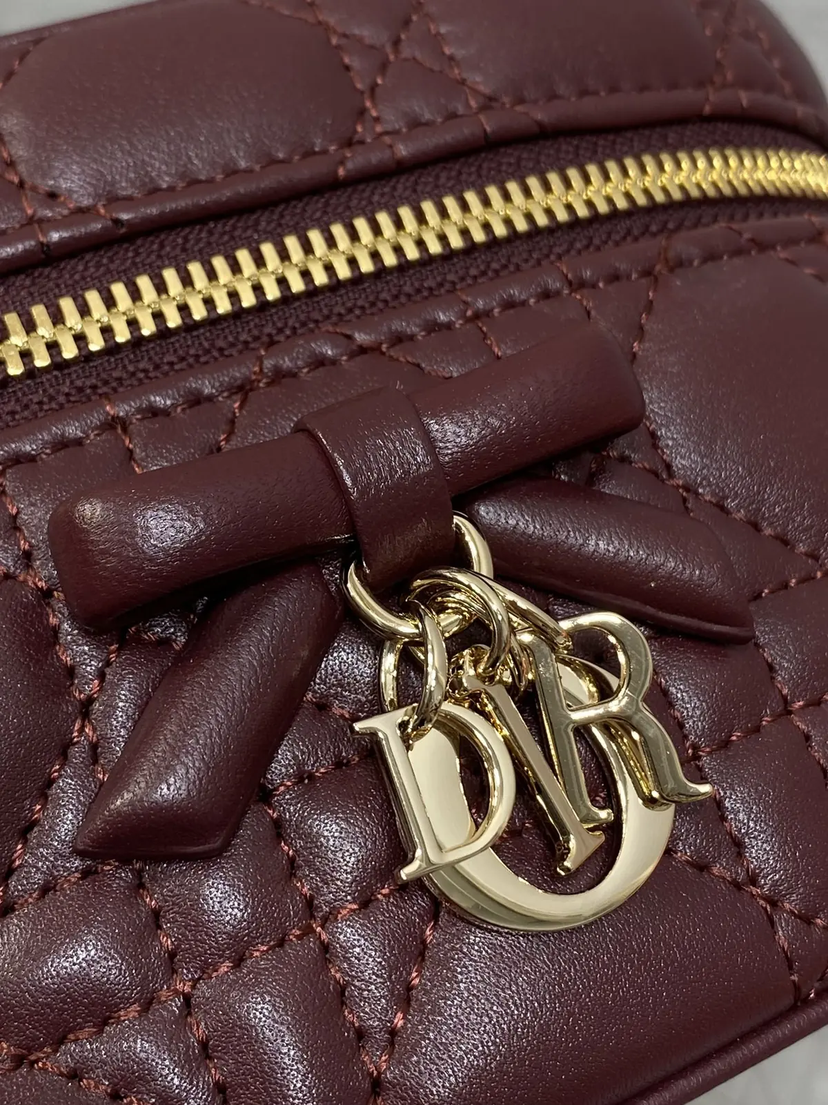 Dior Style Leather Crossbody Bag Lookbook Reference image 3