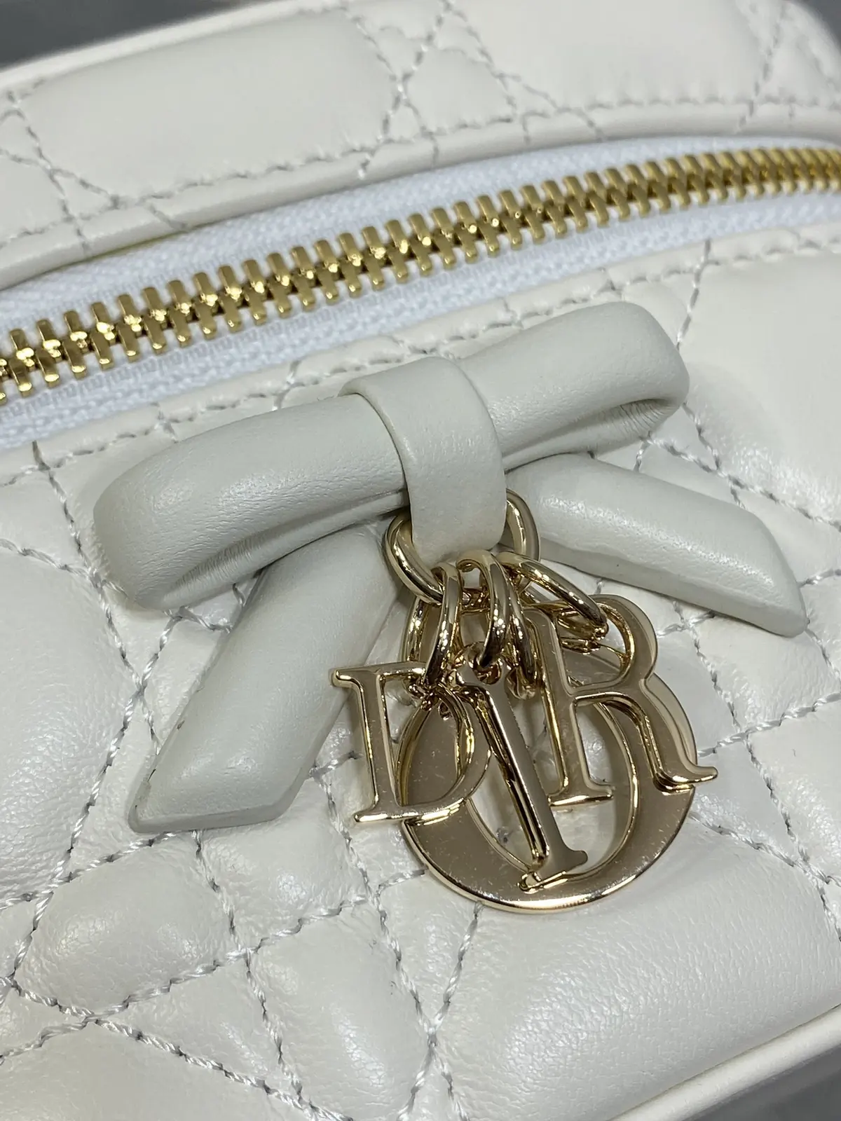 Dior Style Leather Crossbody Bag Lookbook Reference image 3