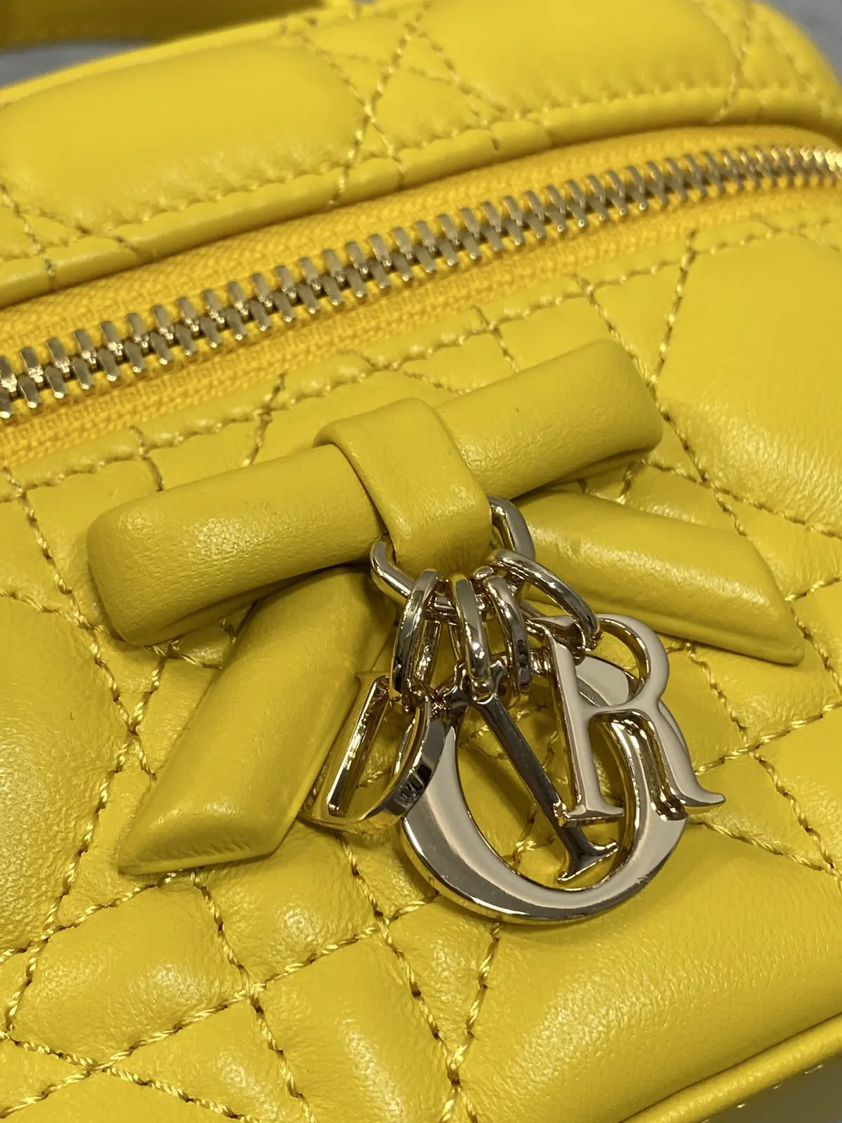 Dior Style Leather Crossbody Bag Lookbook Reference image 3