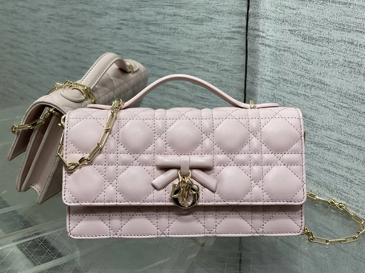 Dior Style Pink Leather Chain Bag Lookbook Reference image 1