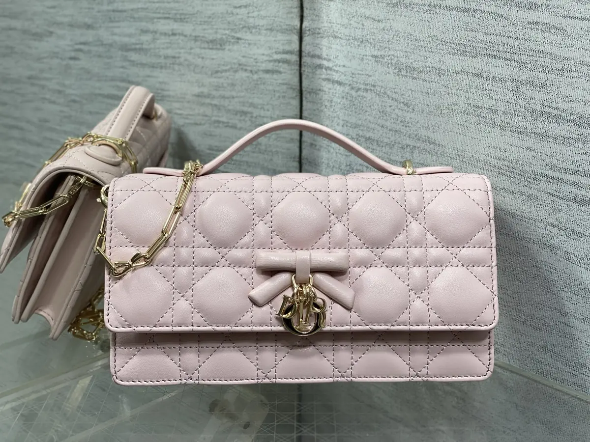 Dior Style Pink Leather Chain Bag Lookbook Reference image 2